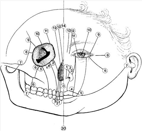 new tessier.pdf image 000