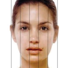 Vertical Facial Fifths